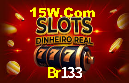 Br133 - Installation Guide