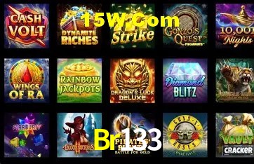 Br133 - Customer Support