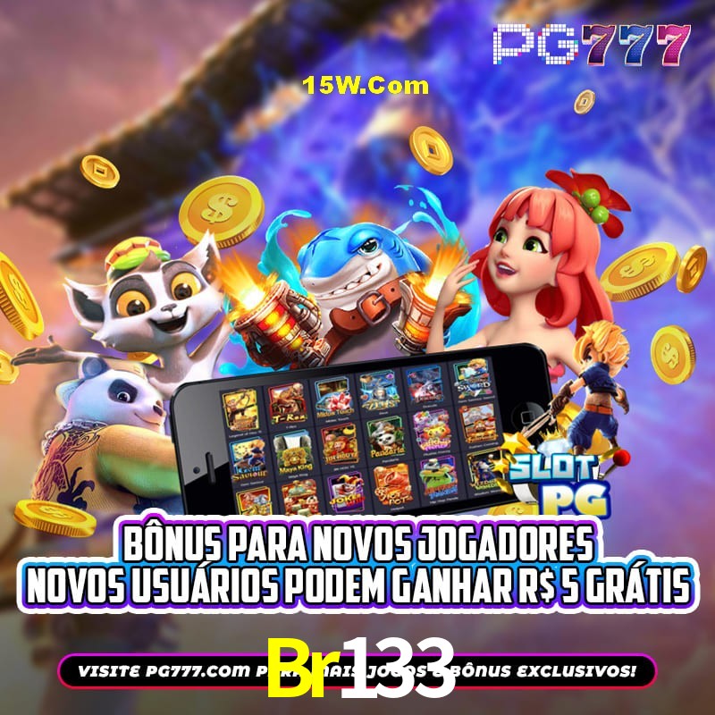 Security Systems Br133